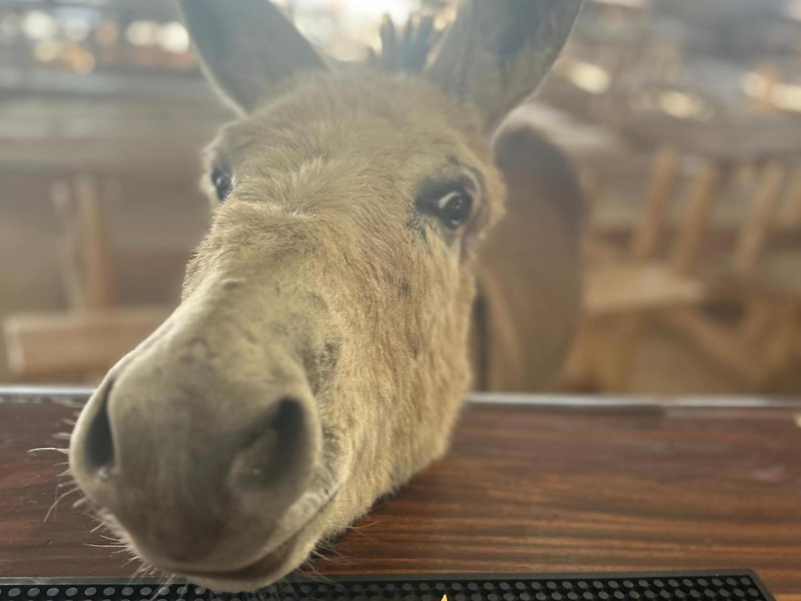 The Wool House & Pablo'S Carolina Hotel Luaran gambar